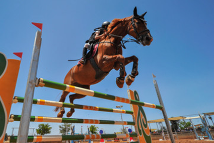 Freddie Vazquez JR jumping a brown horse over bars