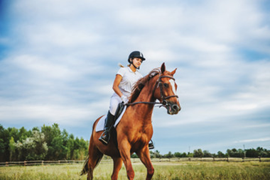 Freddie Vazquez JR riding horse at equestrian event