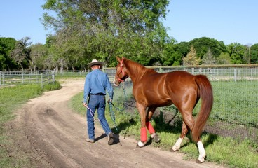 Freddie Vazquez Equestrian Reviews Horse and Trainer
